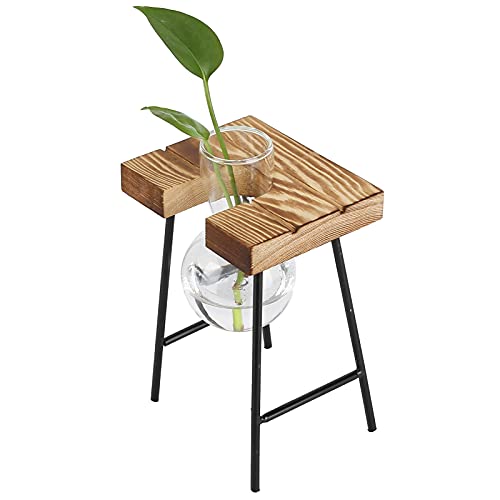 Glas-Pflanzgefäß, Desktop-Vase-Birne Holzständer-Birne Glasvase Hydroponik-Pflanzen-Pflanzgefäß für Home Office Garten(Eine Flasche + Bank) von Mumusuki