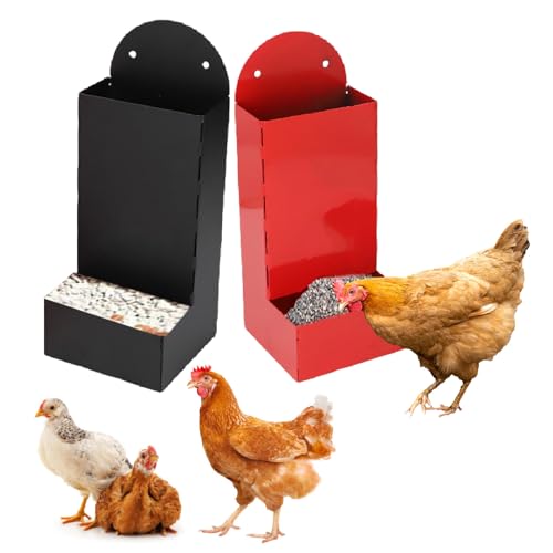 Mumusuki 2pcs Hühner -Austernschalenfutter- und Körnchen -Feeder, Hochleistungseisenhänge oder Feste Automatische Geflügelfuttermittel Hühner -Coop -Zubehör Mumusuki 2pcs Hühner -Austernschalenfutter- und Körnchen -Feeder, Hochleistungseisenhänge oder Feste Automatische Geflügelfuttermittel Hühner -Coop -Zubehör von Mumusuki