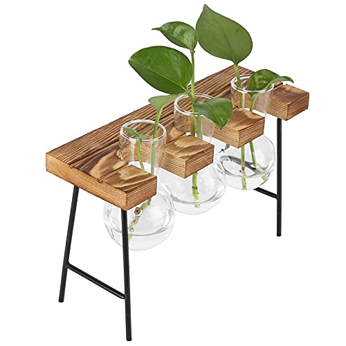 Glas-Pflanzgefäß, Desktop-Vase-Birne Holzständer-Birne Glasvase Hydroponik-Pflanzen-Pflanzgefäß für Home Office Garten(DREI Flaschen + Bank) von Mumusuki