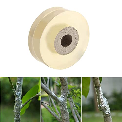 Mumusuki Gartenwerkzeug Tape Gartenband Volume 1 Auto Stick Band, Pflanzenzielklebeband Flexibel Elastisch Transparentes Gartenwerkzeug (2 cm) von Mumusuki