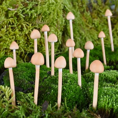 18 Stück handgefertigte Tonpilze – Mini-Pilze für DIY Miniatur-Landschaften & Feengärten – Schreibtisch-Ornamente & Weihnachtsdekorationen 18 Stück handgefertigte Tonpilze – Mini-Pilze für DIY Miniatur-Landschaften & Feengärten – Schreibtisch-Ornamente & Weihnachtsdekorationen von Mumutie
