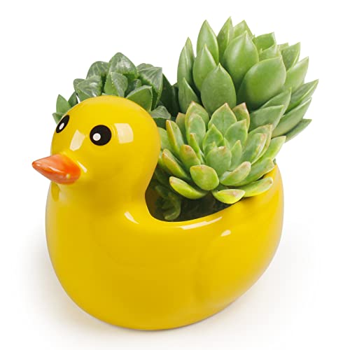 Mumutie Keramik Ente Sukkulenten Blumentopf, Cartoon Entlein Form Kaktus Blumentopf, Mini Tier Blumentopf Dekoration für Home Office Schreibtisch, Gelb von Mumutie