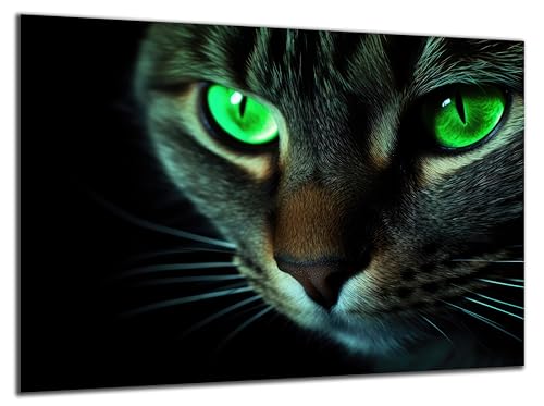 Munera Design - Bild 30x40 - Katzen-Bilder Nahaufnahme grüne Augen - Wand-Bilder Wohnzimmer von Munera Design
