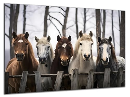 Munera Design - Bild 30x40 - Pferd Pferde-Bilder 5 Pferde am Gatter - Wand-Bilder Wohnzimmer von Munera Design