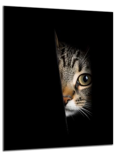 Munera Design - Bild 56x84 - Katzen-Bilder Tiger-Katze guckt - Wand-Bilder Wohnzimmer von Munera Design