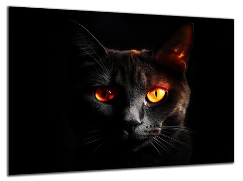 Munera Design - Bild 56x84 - Katzen-Bilder schwarze Katze leuchtende Augen - Wand-Bilder Wohnzimmer von Munera Design