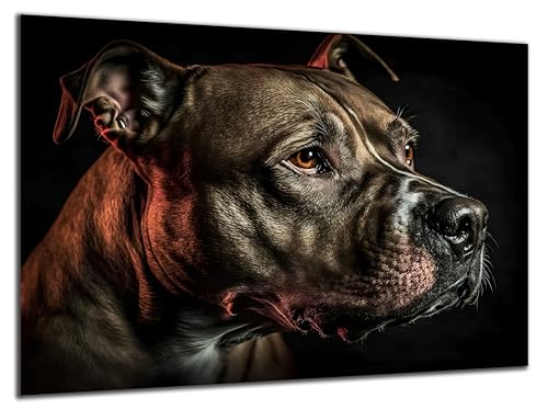 Munera Design - Bild 56x84 - Pitbull Hunde Portrait - Wand-Bilder Wohnzimmer von Munera Design