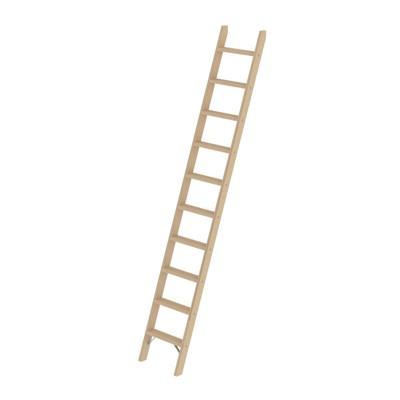 Stufen-Anlegeleiter Holz, ohne Traverse, 10 Stufen von Munk Günzburger Steigtechnik