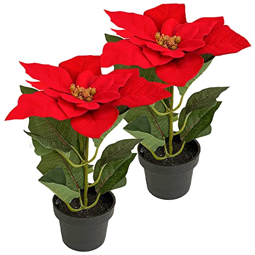Murago - 2er Set Künstlicher Weihnachtsstern ca.20cm - Rot - mit im Topf Kunstblumen Kunstpflanzen Blümchen Topfflanze für Weihnachten weihnachtliche Weihnachtsdekoration Blüte von Murago