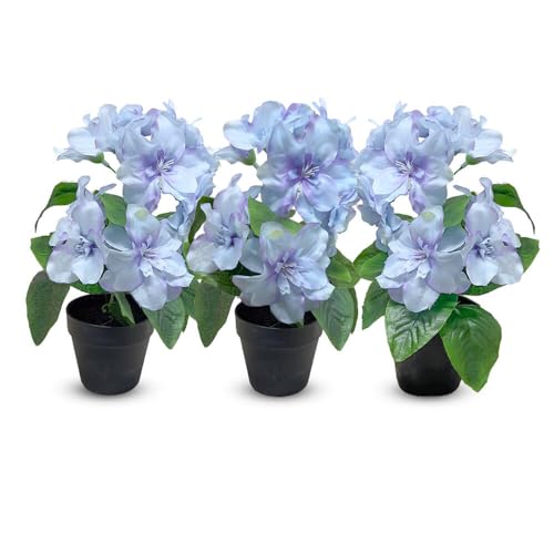 Murago - 3er Set Künstliche Azalee im Topf Blau - Kunstblume Kunstpflanze Pflanzen Blumen Gastro Tischdeko Frühling Dekoration Hellblau für Balkon Hochzeit von Murago