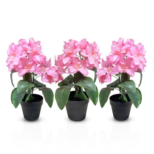 Murago - 3er Set Künstliche Azalee im Topf Rosa - Kunstblumen Kunstpflanzen Pflanzen Blumen Gastro Frühling Dekoration Pink für Balkon Hochzeit von Murago