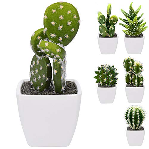 Murago 6 Stück künstliche Kakteen im weißen Topf ca.10-13cm Mini klein Künstlicher Kaktus Kunstpflanze mit Blumentopf Tisch Dekoration von Murago