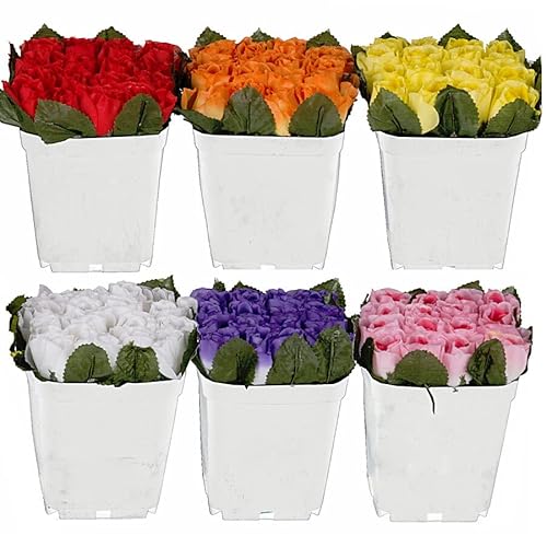 Murago - 6 x Rosen Kunstblumen im Topf Strauß Kunstpflanzen Hochzeit Tisch Dekoration künstliche Balkon Weiß rot rosa Blumen von Murago