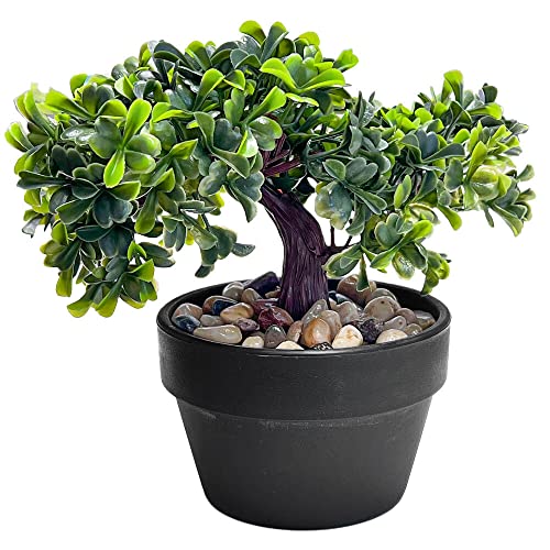 Murago - Künstlicher Bonsai Baum ca.18cm - Deko Mini Kunstpflanze im Topf Wellness Kunstbaum Grünpflanze von Murago