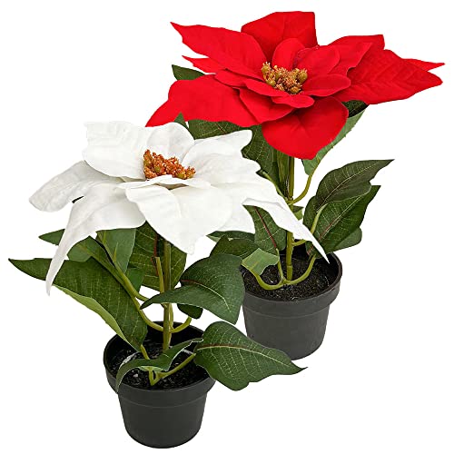 Murago - Künstlicher Weihnachtsstern ca.20cm - Rot & weiß - mit im Topf Kunstblumen Kunstpflanzen Blümchen Topfflanze für Weihnachten weihnachtliche Weihnachtsdekoration Blüte von Murago
