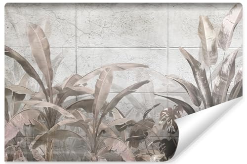 Muralo - 3D Tapete Vliestapete - Fototapete 3d Effekt - Tapete für Wohnzimmer Schlafzimmer Wandtapete - Fototapete - Bananenblätter Beton-Optik Motiv - Br.368cm x Hö.254cm von Muralo