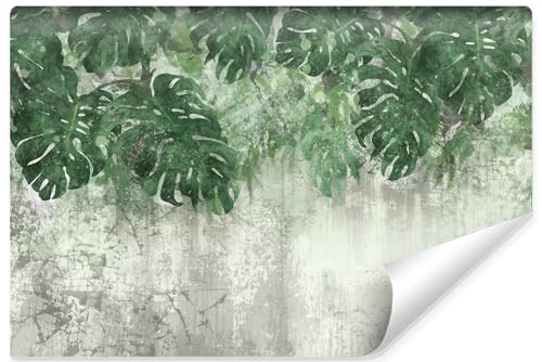 Muralo - 3D Tapete Vliestapete - Fototapete 3d Effekt - Tapete für Wohnzimmer Schlafzimmer Wandtapete - Fototapete - Monstera Blätter Beton-Optik Motiv - Br.360cm x Hö.240cm von Muralo