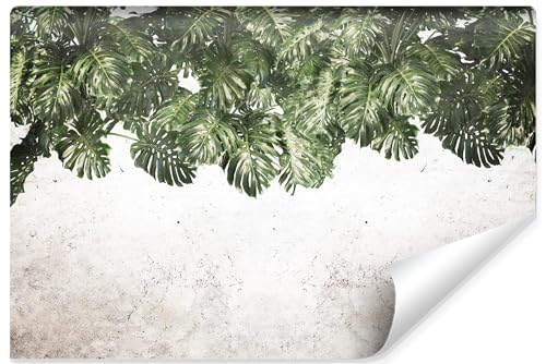 Muralo - 3D Tapete Vliestapete - Fototapete 3d Effekt - Tapete für Wohnzimmer Schlafzimmer Wandtapete - Fototapete - Monstera Blätter Beton-Optik Motiv - Br.400cm x Hö.280cm von Muralo