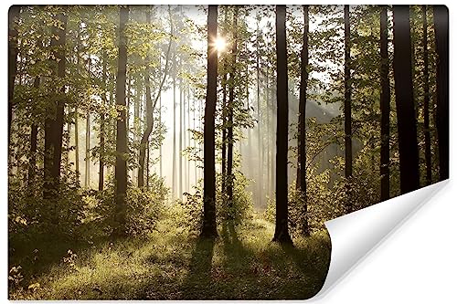 Muralo - 3D Tapete Wald bei Tagesanbruch Vliestapete - Fototapete 3d Effekt - Tapete für Wohnzimmer Schlafzimmer Wandtapete Wald Sonnenstrahlen - Br. 460cm x Hö. 300cm von Muralo