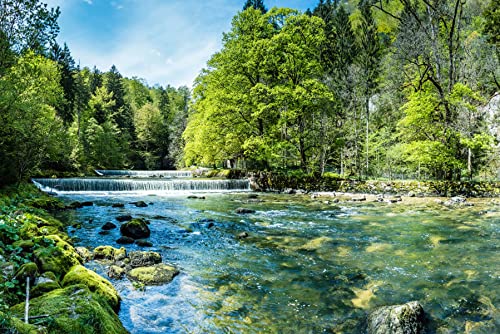 Muralo Fabelhafte Selbstklebende Vlies Fototapete Wald Bäume Wasserfall Natur Moderne Tapete Wohnzimmer Schlafzimmer Wandbilder Wandtapete XXL Luxus Abstrakt Br.270xHö.180 von Muralo