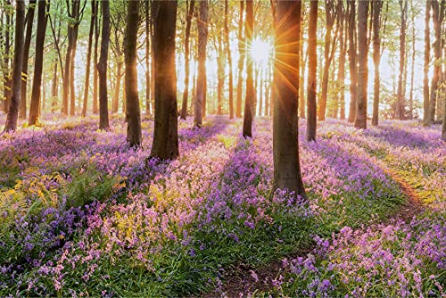 Muralo Fabelhafte Vlies Fototapete 400x280 Wald Blumen Natur 3D Moderne Tapete Wohnzimmer Schlafzimmer Wandbilder Wandtapete XXL Luxus Abstrakt Br. 400 cm x Hö. 280 cm Muralo Fabelhafte Vlies Fototapete 400x280 Wald Blumen Natur 3D Moderne Tapete Wohnzimmer Schlafzimmer Wandbilder Wandtapete XXL Luxus Abstrakt Br. 400 cm x Hö. 280 cm von Muralo