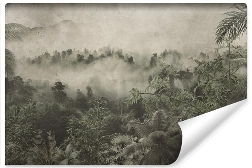 Muralo - Fototapete 3d Effekt - Selbstklebende Tapete 3d - Tapeten für Wohnzimmer Schlafzimmer - Fototapete selbstklebend - Tropischer Wald im Nebel Motiv - Br.450cm x Hö.300cm von Muralo