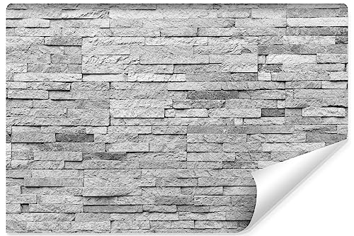 Muralo - Fototapete 3d Effekt - Selbstklebende Tapete 3d - Tapeten für Wohnzimmer Schlafzimmer - Tapete mit Steinoptik - Fototapete mit Ziegel-Muster - Br. 450cm x Hö. 300cm von Muralo