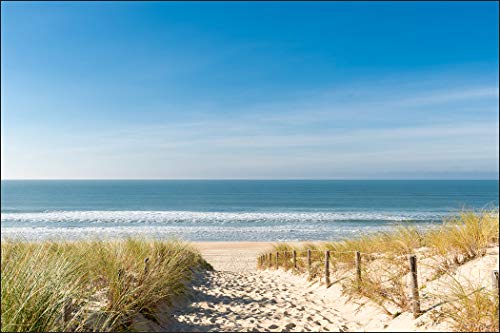 Muralo Fototapete Strand 300 x 450 cm Vlies Tapete Wandtapete Dünen Meer Himmel Wohnzimmer Schlafzimmer Moderne Wandbilder XXL Natur Panorama Wasser Wand Dekoration von Muralo