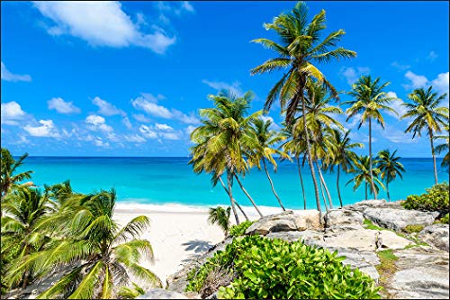 Muralo Fototapete Strand 60 x 90 cm Vlies Tapete Wandtapete Ozean Himmel Palmen Wohnzimmer Schlafzimmer Moderne Wandbilder XXL Natur Panorama Wasser Wand Dekoration Muralo Fototapete Strand 60 x 90 cm Vlies Tapete Wandtapete Ozean Himmel Palmen Wohnzimmer Schlafzimmer Moderne Wandbilder XXL Natur Panorama Wasser Wand Dekoration von Muralo