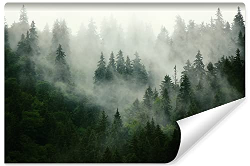 Muralo Fototapete WALD IM NEBEL Wandtapeten Bäume Grün Natur Wohnzimmer Schlafzimmer Esszimmer Moderne Wandbilder XXL Landschaft Panorama Wand Dekoration (SELBSTKLEBEND, Br. 152,5 cm x Hö. 104 cm) von Muralo