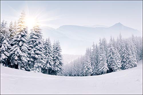 Muralo Fototapete Wald 90 x 135 cm Vlies Tapete Wandtapeten Gebirge Schnee Bäume Wohnzimmer Schlafzimmer Moderne Wandbilder XXL Landschaft Panorama Winterwald Wand Dekoration von Muralo