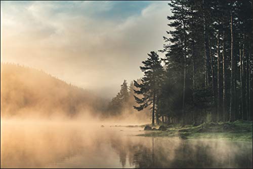 Muralo Fototapete Wald im Nebel 120 x 180 cm Vlies Tapete Wandtapeten See Bäume Wohnzimmer Schlafzimmer Moderne Wandbilder XXL Landschaft Panorama Wand Dekoration von Muralo