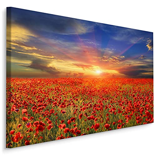 Muralo Leinwandbilder 100x70 Natur Pflanzen Blumen Mohnblumen Feld Wiese Canvas Wandbild Kunstdruck Schlafzimmer Wohnzimmer Wanddekoration Design XXL Br. 100 cm x Hö. 70 cm Br. 100 cm x Hö. 70 cm von Muralo