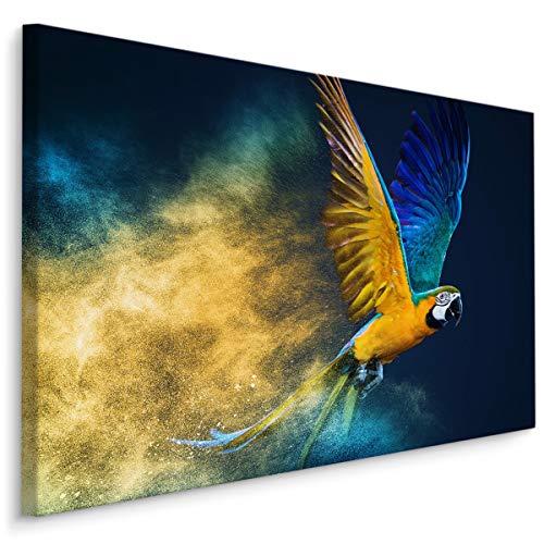 Muralo Leinwandbilder 120x80 Natur Bunt Ara Leinwand Wandbild Kunstdruck Papagei Vogel Federn Tiere Schlafzimmer Wohnzimmer Wanddekoration Design XXL 904 Br. 120 cm x Hö. 80 cm von Muralo