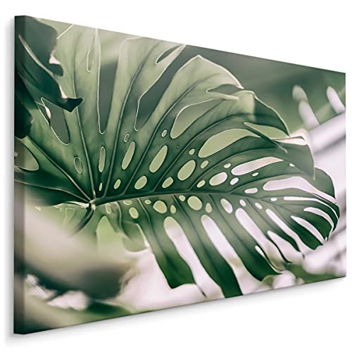 Muralo Leinwandbilder 120x80 Natur Pflanzen Blätter Monstera Grün Exotisch Canvas Wandbild Kunstdruck Schlafzimmer Wohnzimmer Wanddekoration Design XXL Br. 120 cm x Hö. 80 cm Br. 120 cm x Hö. 80 cm von Muralo