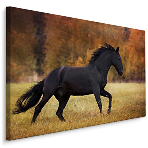 Muralo Leinwandbilder 120x80 Tiere Pferd Wild Leinwand Wandbild Kunstdruck Galoppieren Mustang Mähne Natur Schlafzimmer Wohnzimmer Wanddekoration Design XXL 469 Br. 120 cm x Hö. 80 cm von Muralo