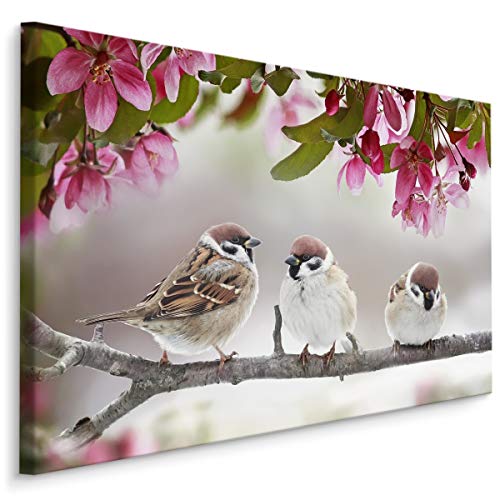 Muralo Leinwandbilder 30x20 Tiere Vögel Spatzen Leinwand Wandbild Kunstdruck Federn Wild Natur Flora Schlafzimmer Wohnzimmer Wanddekoration Design XXL 934 Br. 30 cm x Hö. 20 cm von Muralo