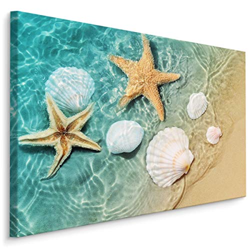 Muralo Leinwandbilder 70x50 Natur Meer Wasser Leinwand Wandbild Kunstdruck Sonne Strand Sand Muscheln Schlafzimmer Wohnzimmer Wanddekoration Design XXL 685 Br. 70 cm x Hö. 50 cm Muralo Leinwandbilder 70x50 Natur Meer Wasser Leinwand Wandbild Kunstdruck Sonne Strand Sand Muscheln Schlafzimmer Wohnzimmer Wanddekoration Design XXL 685 Br. 70 cm x Hö. 50 cm von Muralo