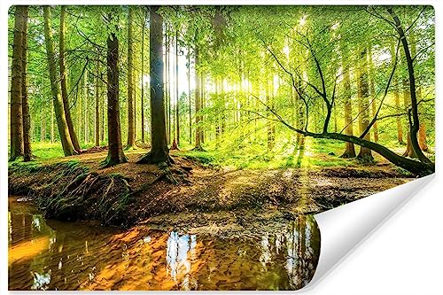 Muralo Selbstklbnde Fototapete 360x240 Wohnzimmer WALD Bäume Fluss in 3D Moderne Tapete Gästezimmer Schlafzimmer Wandbilder Wandtapete Wandtattoo XXL Br. 360cm x Hö. 240cm [SK360-240] von Muralo