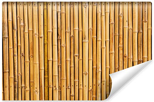 Muralo Selbstklebende Fototapete 360 x 240 Natur Bambus Tropen Tapete Exotik Flora Sprossen Blätter Wohnzimmer Schlafzimmer Wandbilder XXL Wand Br. 360 cm x Hö. 240 cm Muralo Selbstklebende Fototapete 360 x 240 Natur Bambus Tropen Tapete Exotik Flora Sprossen Blätter Wohnzimmer Schlafzimmer Wandbilder XXL Wand Br. 360 cm x Hö. 240 cm von Muralo