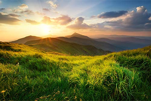 Muralo Selbstklebende Fototapete 360 x 240 Natur Berge Landschaft Tapete Panorama Felsen Steine Wald Wohnzimmer Schlafzimmer Wandbilder XXL Wand Br. 360 cm x Hö. 240 cm von Muralo