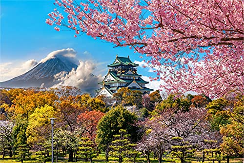 Muralo Selbstklebende Fototapete 368 x 254 Schloss Osaka Japan Tapete Architektur Sehenswürdigkeit Natur Frühling Wohnzimmer Schlafzimmer Wandbilder XXL Wand Br. 368 cm x Hö. 254 cm von Muralo