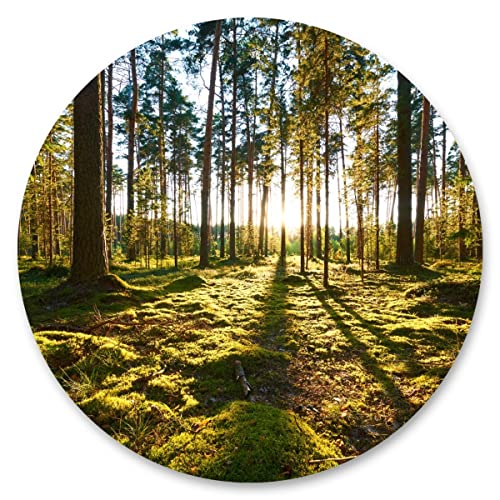 Muralo Sticker Kreis BÄUME Wald Sonnenstrahlen Pflanzen Natur Grün Landschaft 3D Wandtattoo Aufkleber Wohnzimmer Schlafzimmer Esszimmer Br. 100cm x Hö. 100cm von Muralo