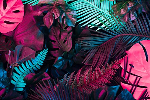 Muralo Vlies Fototapete 450 x 300 Neon Blätter Natur Tapete Pflanzen Flora Dschungel Exotik Wohnzimmer Schlafzimmer Wandbilder XXL Wand Br. 450 cm x Hö. 300 cm Muralo Vlies Fototapete 450 x 300 Neon Blätter Natur Tapete Pflanzen Flora Dschungel Exotik Wohnzimmer Schlafzimmer Wandbilder XXL Wand Br. 450 cm x Hö. 300 cm von Muralo