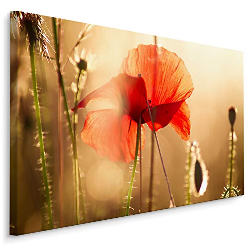 Muralo Wandbilder Blumen 30 x 20cm Bild auf Leinwand Wandbild Kunstdruck Mohnblumen Sonne Leinwandbilder Schlafzimmer Wohnzimmer Wanddekoration Design Wand Bild Natur Landschaft von Muralo