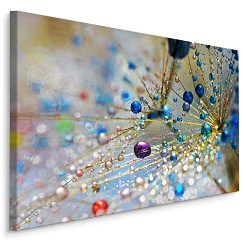 Muralo Wandbilder Blumen 90 x 60cm Bild auf Leinwand Wandbild Kunstdruck Pusteblume Wassertropfen Leinwandbilder Schlafzimmer Wohnzimmer Wanddekoration Design Wand Bild Natur Landschaft von Muralo