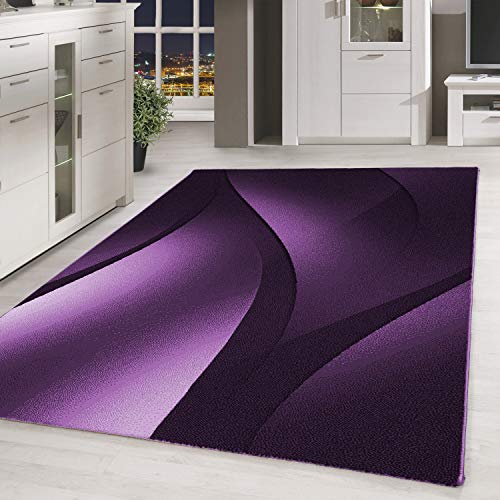 Muratap Plus Teppich - Kurzflor Teppich Schattenmuster Schalldämpfend für Wohnzimmer Schlafzimmer Arbeitszimmer Flächenteppich 3D Optik - 200x290 cm - Farbe: Violett von Muratap