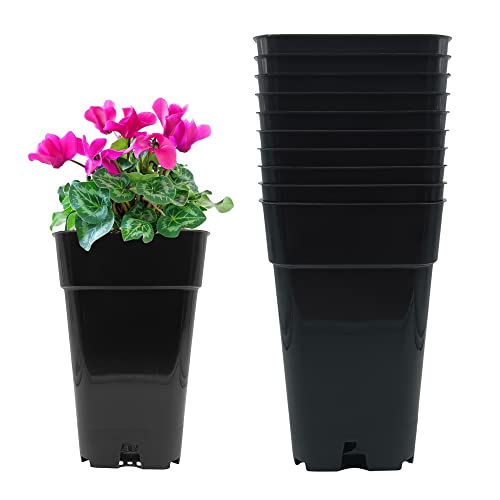 MURGIPLAST Quadratische Kunststofftöpfe für Indoor Growing, Saatgut-Pflanztöpfe für Grow, Outdoor-Behälter für Pflanzen und Blumen, 2,5 Liter, 13x13x21 cm, 10 Stück MURGIPLAST Quadratische Kunststofftöpfe für Indoor Growing, Saatgut-Pflanztöpfe für Grow, Outdoor-Behälter für Pflanzen und Blumen, 2,5 Liter, 13x13x21 cm, 10 Stück von Murgiplast
