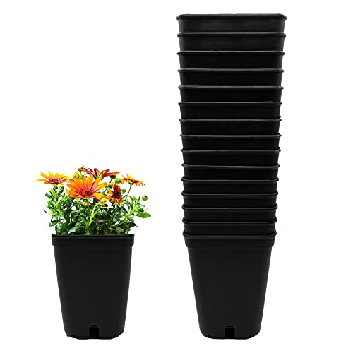 MURGIPLAST Quadratische Plastiktöpfe für Indoor Growing, Saatgut-Pflanztöpfe für Grow, Outdoor-Behälter für Pflanzen und Blumen, 1 Liter, 10x10x14 cm, 15 STK. von Murgiplast