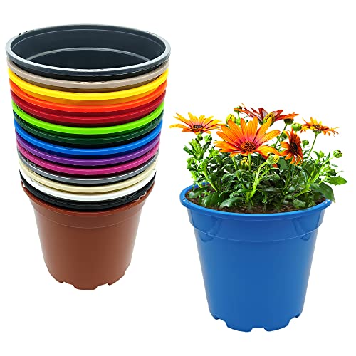 Murgiplast Plastiktöpfe für Pflanzen und Blumen, große dekorative Pflanzgefäße für drinnen und draußen, Bunte Pflanztöpfe für den Garten, 17 cm, 15 Stück Murgiplast Plastiktöpfe für Pflanzen und Blumen, große dekorative Pflanzgefäße für drinnen und draußen, Bunte Pflanztöpfe für den Garten, 17 cm, 15 Stück von Murgiplast